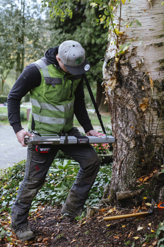 Baumkontrolle Gesundheitspruefung Baumgesundheit Baumpflege Bach