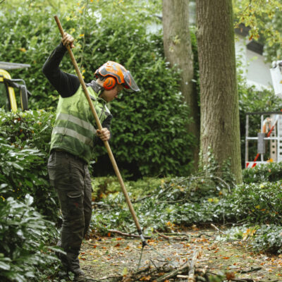 Reinigung Entsorgung Baumpflege Bach